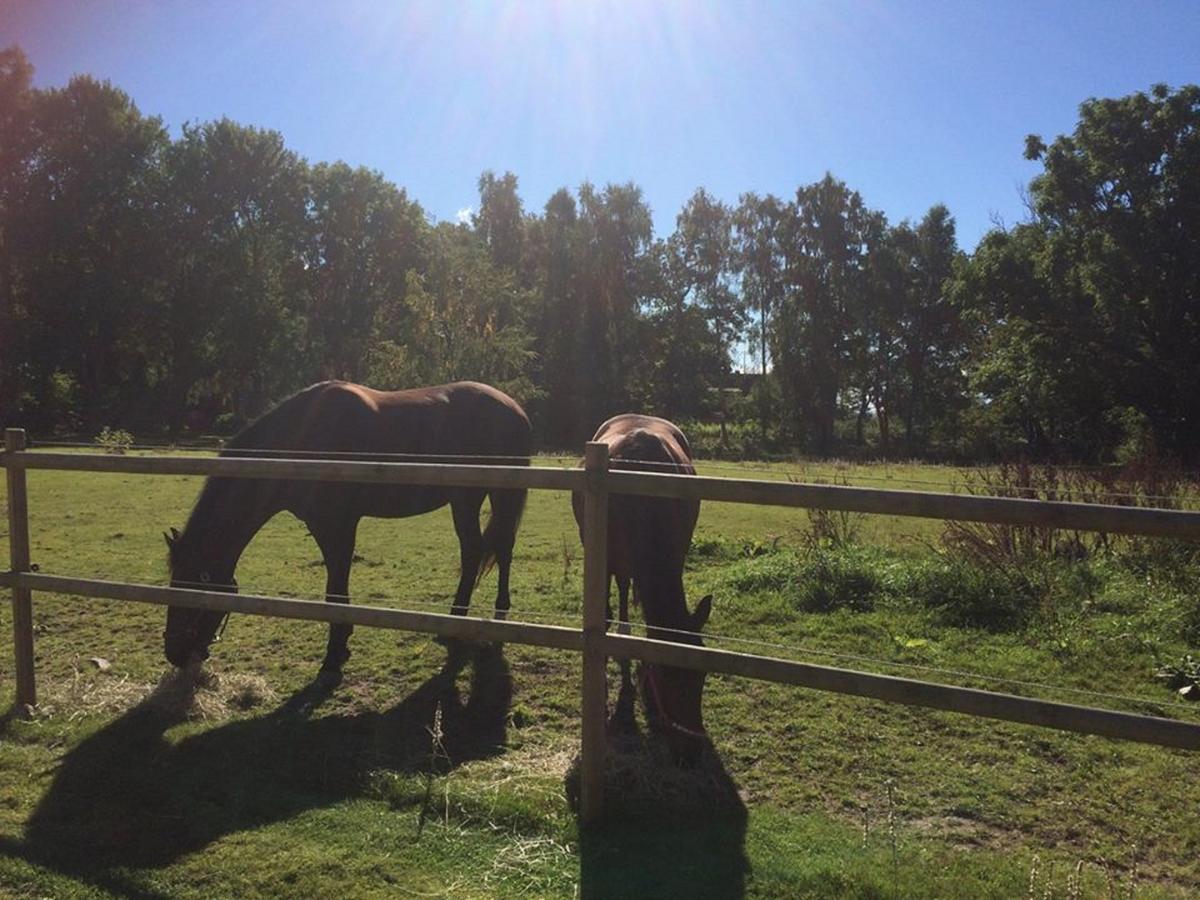 Ganarps Rum Och Stuguthyrning Ängelholm Dış mekan fotoğraf
